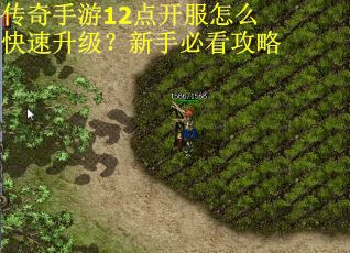 传奇手游12点开服怎么快速升级?新手必看攻略 传奇手游12点开服怎么快速升级?新手必看攻略