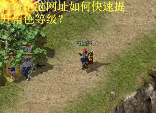 传奇电脑网址如何快速提升角色等级？