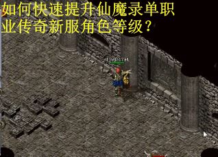 如何快速提升仙魔录单职业传奇新服角色等级？