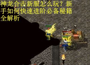 神龙合击新服怎么玩？新手如何快速进阶必备秘籍全解析