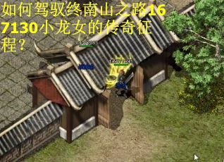 如何驾驭终南山之路167130小龙女的传奇征程？