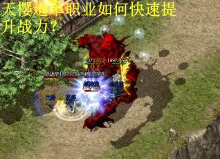 天樱道单职业如何快速提升战力？
