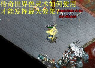 传奇世界兽灵术如何使用才能发挥最大效果？